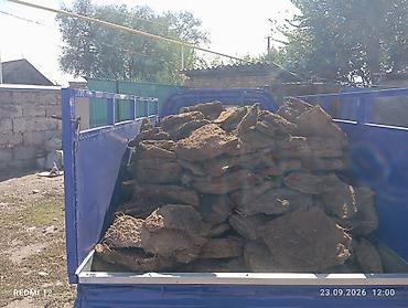 меняю с моей доплатой: Кому нужен Тизяк отдам за 2000 тысячи сом с доставкой Кара Балта — 2
