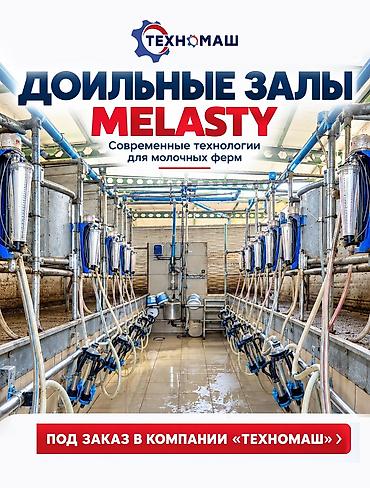 Доильный зал Melasty профессиональная система для молочных ферм ПОД