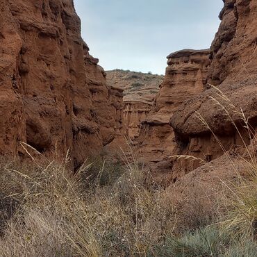 Трансфер, пассажирские перевозки: По региону, Аэропорт, По городу Такси, легковое авто | 4 мест — 17