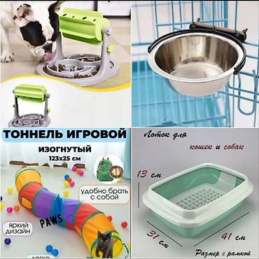 миска для кошки: Лоток туалет для кошек. Новый. Производство Россия. 800 сом Новая — 1