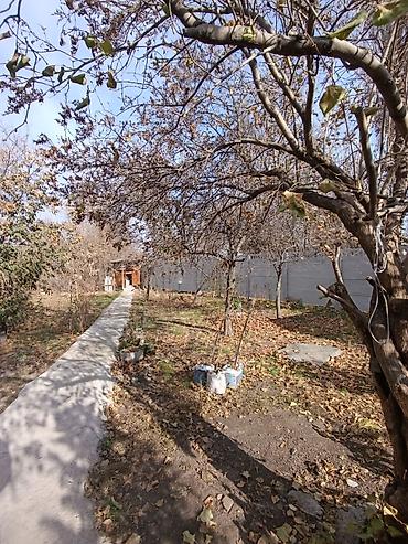 Продажа коттеджей и домов: 📌В селе Садовое недалеко от трассы продается дом на участке 51 сотка — 4