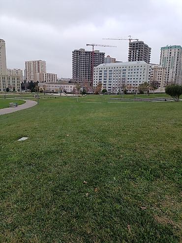 elsad eliyev: Bakı, 1 otaqlı, Köhnə tikili, m. Gənclik, 25 kv. m — 1