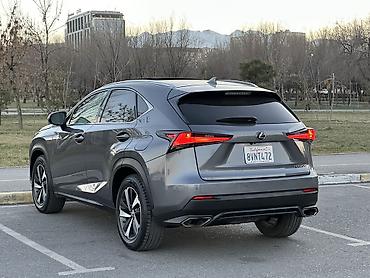 Lexus: Lexus NX: 2019 г., 2 л, Автомат, Бензин, Кроссовер — 11