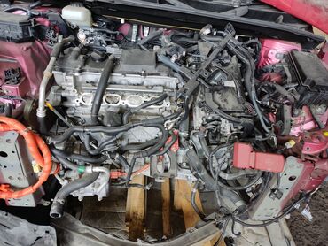 запчасти на двигатель: Toyota Prius 50, мотор, навесное и другие запчасти