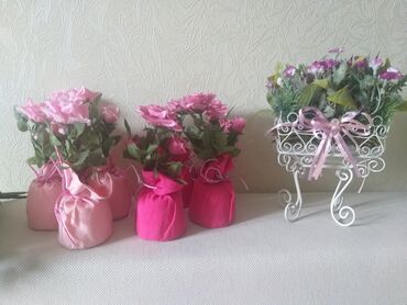 подставка для растений: Продаю цветы для уюта дома, офиса (на подставке 380с, в малиновой и
