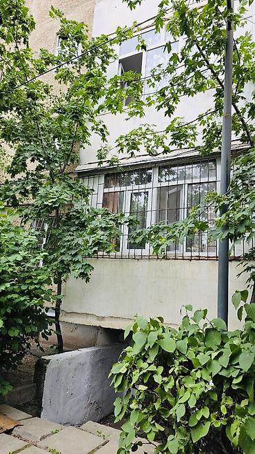 5 микрорайон квартиры: 1 комната, 35 м², 105 серия, 1 этаж, Косметический ремонт — 4