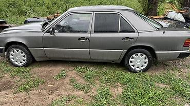 forester 2004: Mercedes-Benz W124: 1991 г., Механика, Бензин, Седан — 3