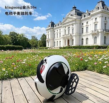 моноколес: Электрическое моноколесо KingSong 16S - Колесо 16" с шоссейным — 2