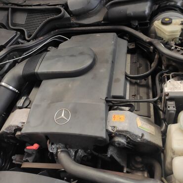 Амортизаторы, пневмобаллоны: Бензиновый мотор Mercedes-Benz 1998 г., 4.2 л, Б/у, Оригинал, Германия