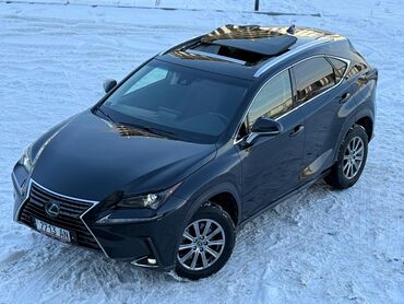 Lexus: Lexus NX: 2019 г., 2 л, Автомат, Бензин, Кроссовер