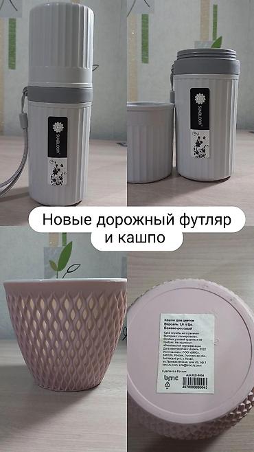 Бөлмө өсүмдүктөрү: Дорожный футляр SUNBLOOM и кашпо для цветов 1) Дорожный футляр — 1