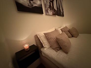 Günlük kirayə mənzillər: 3 otaqlı — 25