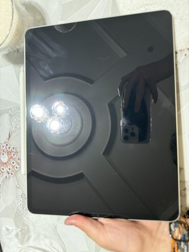 чехол для стульчика: Планшет, Apple, память 128 ГБ, 13" - 14", Wi-Fi, Б/у, Классический цвет - Серебристый