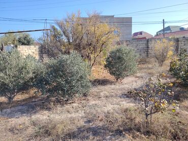 Torpaq sahələrinin satışı: 70 sot, Tikinti, Makler, Texniki pasport — 18