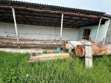 нежилое помещение продаю: Сатылат. Кызыл китеп бар. Фуркат, мурунку мал базардын ордунда. с