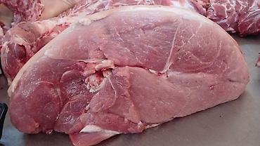 Свиньи: Продаю | Свинья (самка) | На забой — 11