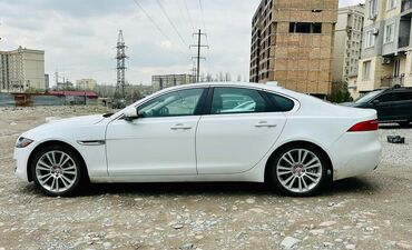 jaguar f type: Jaguar XF в белом цвете. Автомобиль имеет панорамную крышу, что