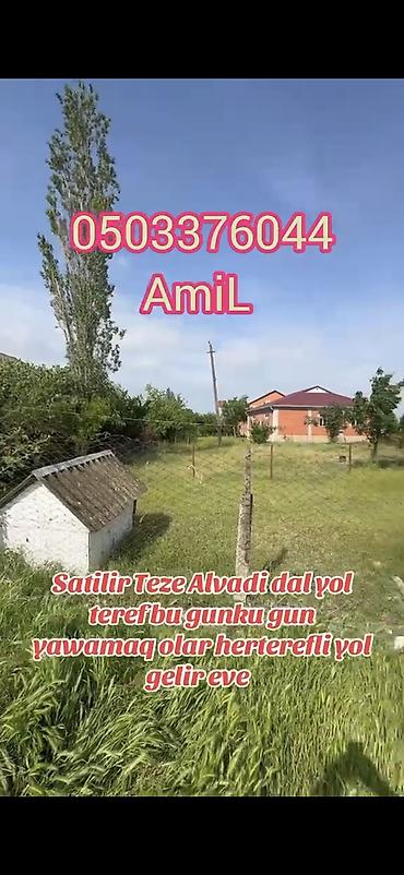 3 otaqlı kiraye evler: Satılır: Masallı r., Təzə Alvadı kəndində satılıq həyət evi / torpaq — 2