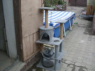сиямский кот: Продаю: Домик для кошки — 2
