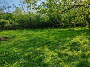 Torpaq sahələrinin satışı: 12 sot, Tikinti, Mülkiyyətçi, Kupça (Çıxarış) — 9