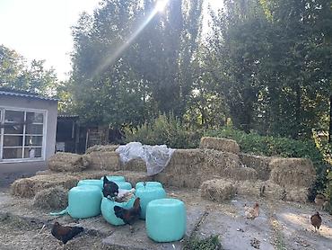 участки в бишкеке: 48 соток — 9