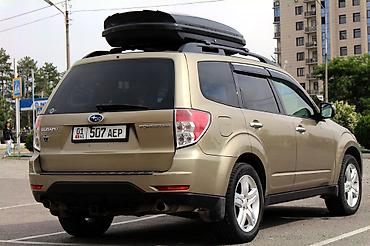 subaru forester цены: Subaru Forester: 2009 г., 2.5 л, Автомат, Бензин, Кроссовер — 3