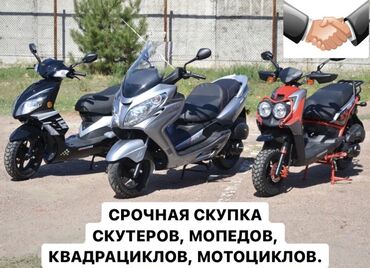 Скутеры: Тез арада скутер, мопед, квадроцикл, мотоцикл сатып алам. Баасы