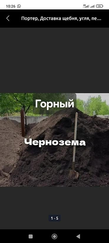 цветы комнатне: Платная доставка, Зил, Камаз, Хово — 1