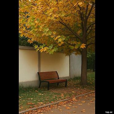 Мебель: Skamya Bütün kateqoriyalar • Ev və bağ üçün • Mebellər Skamya 1 / 2 — 2