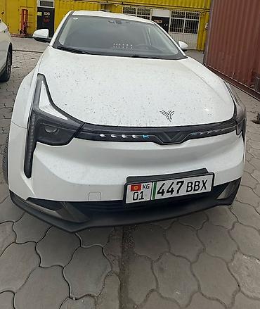 BYD : 2023 г., Электромобиль, Кроссовер