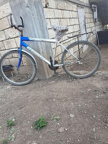yük velosiped: Oyama şəhər/dağ tipli velosiped - Güllü-mavi və ağ rəngli — 3