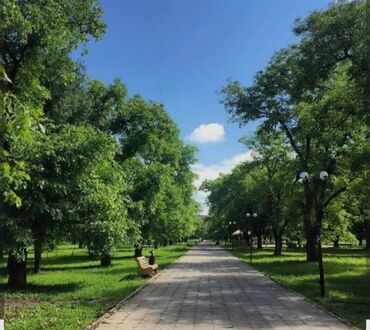квартира 2 комната ош: 2 комнаты, 43 м², 104 серия, 1 этаж, Косметический ремонт