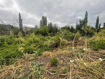 1 bedroom: 30 соток, Для сельского хозяйства, Договор купли-продажи, Красная книга, Тех паспорт — 7