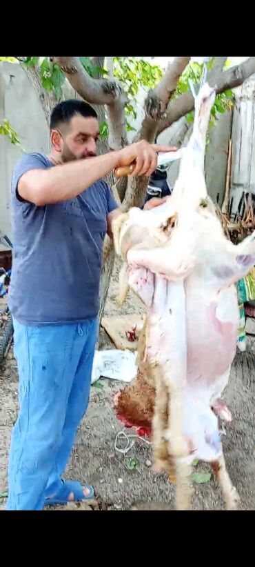 Aşpazlar: Manqalçı, kababçı, 45 il, 6 ildən artıq təcrübə — 7