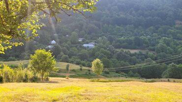 Torpaq sahələrinin satışı: Lerik rayonu Vizəzəmin kəndi ərazisində yerləşən ərazini tədqim — 3