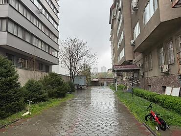 mega hous: 4 комнаты, 209 м², ул. Московская / Уметалиева Элитка, 7 этаж, Евроремонт — 3