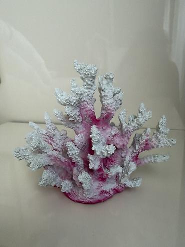 Akvarium dekoru: Akvaryum dekoru – mərcan fiquru - Material: qəliblənmiş süni mərcan — 1