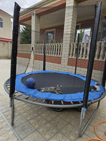 nerd taxta qiymeti: Bağ üçün dairəvi trampoline - Təhlükəsizlik toru ilə: ətrafı tam