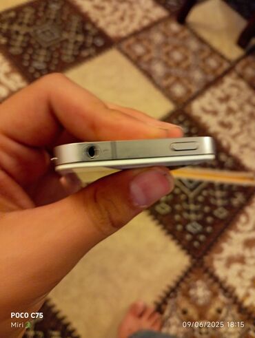 Apple iPhone: IPhone 4, Gümüşü