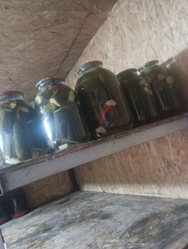 огурцы соленые цена бишкек: Огурцы В розницу