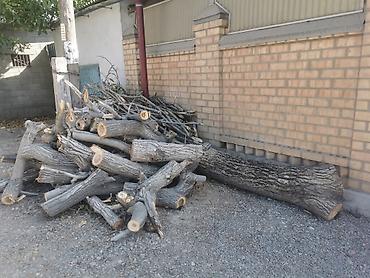 скупка дерево орех: Продаю орех два дерева 540/46. 180/40. Срочно в любое время — 5