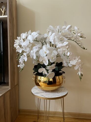 orkide gülü: Dekorativ orkide kompozisiyası - Zərif ağ phalaenopsis orkidelərindən