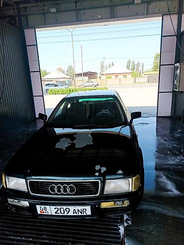Audi: Audi 100: 1992 г., Седан — 4