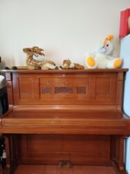 Gitaralar: Piano, Akustik, İşlənmiş, Ödənişli çatdırılma lalafo.az -da Gitaralar: Piano, Akustik, İşlənmiş, Ödənişli çatdırılma