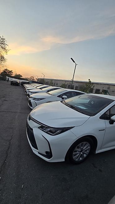 левин: Toyota Corolla: 2023 г., 1.8 л, Вариатор, Гибрид, Седан — 7