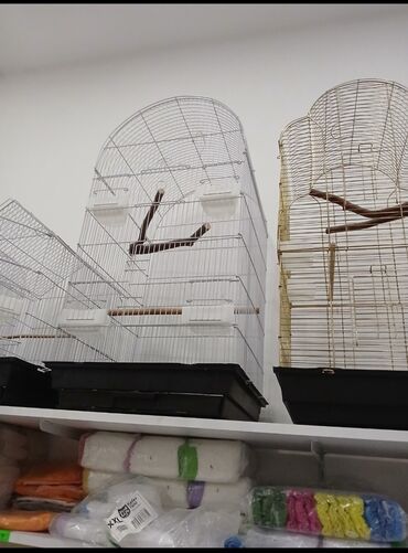 Qəfəslər: Her qiymete her olcude yeni qefeslermiz var satisda bayram edirimleri -da lalafo.az — 5 Qəfəslər: Her qiymete her olcude yeni qefeslermiz var satisda bayram edirimleri — 5