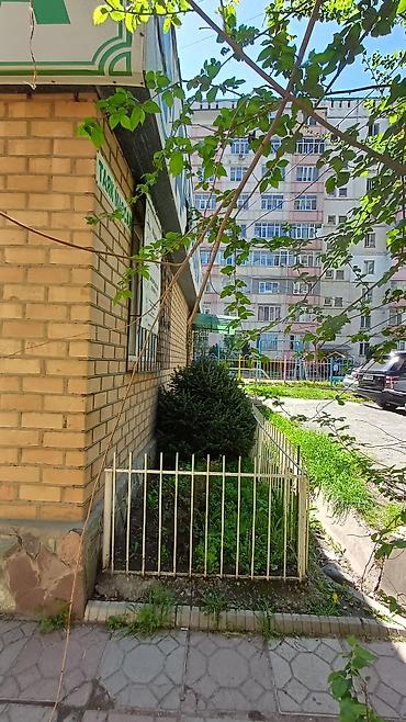 Продажа зданий: Здание, 80 м² — 2