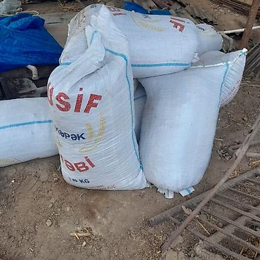 dərnəgül taxta bazarı: Salam buzovnada quru peyin satılır 10 dənədir bir kisə 4 manatdir — 3