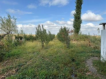 Продажа другой коммерческой недвижимости: 📌"В урочище ""Широкий"" Нарзан а/о продается кошара, дом из 4-х комнат — 11