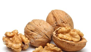 саженцы орехов: Продам чуйские тонкокорые орехи 90 кг по 150 сом. Самовывоз